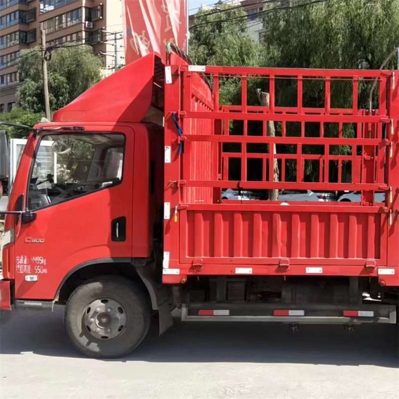 佛坪县雅安市物流专线：大件出口快运的多维探索